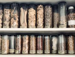 Cabinet full of bottled containing medicinal plants.