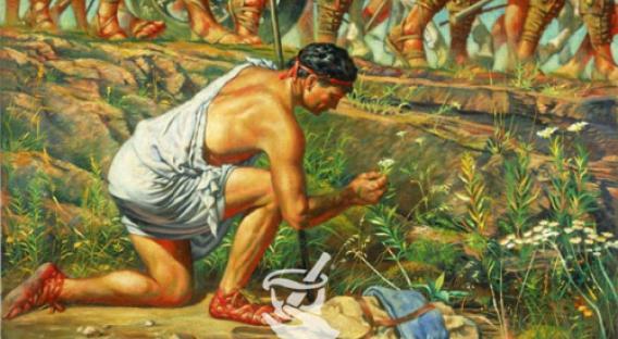 Dioscorides the Scientist Looks Upon Drugs